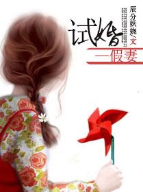 试婚100天免费阅读