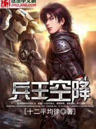 兵王完本