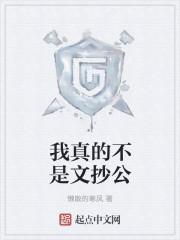 我真不是文豪作者将欲