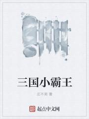 三国中小霸王