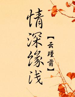 情深缘浅不得已是什么歌里的歌词