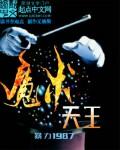 魔术之王