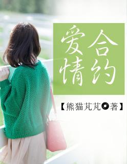 爱情合约讲什么