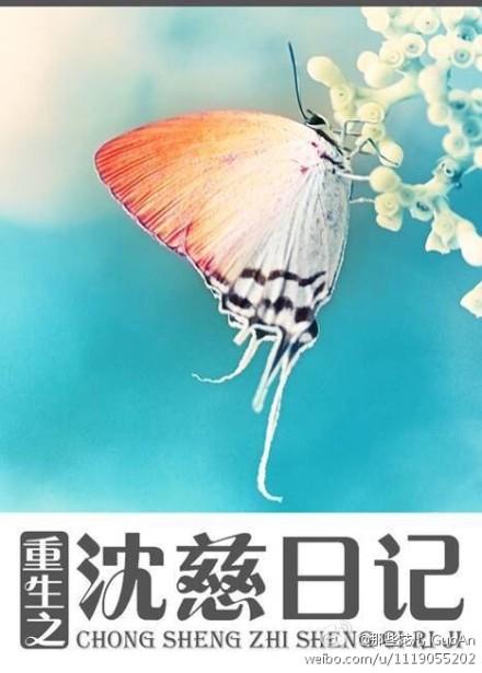重生之沈嬗
