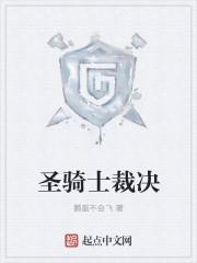 仲裁圣骑特效